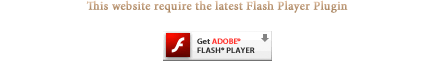 Get Adobe Flash player